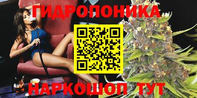 твердый Севастополь