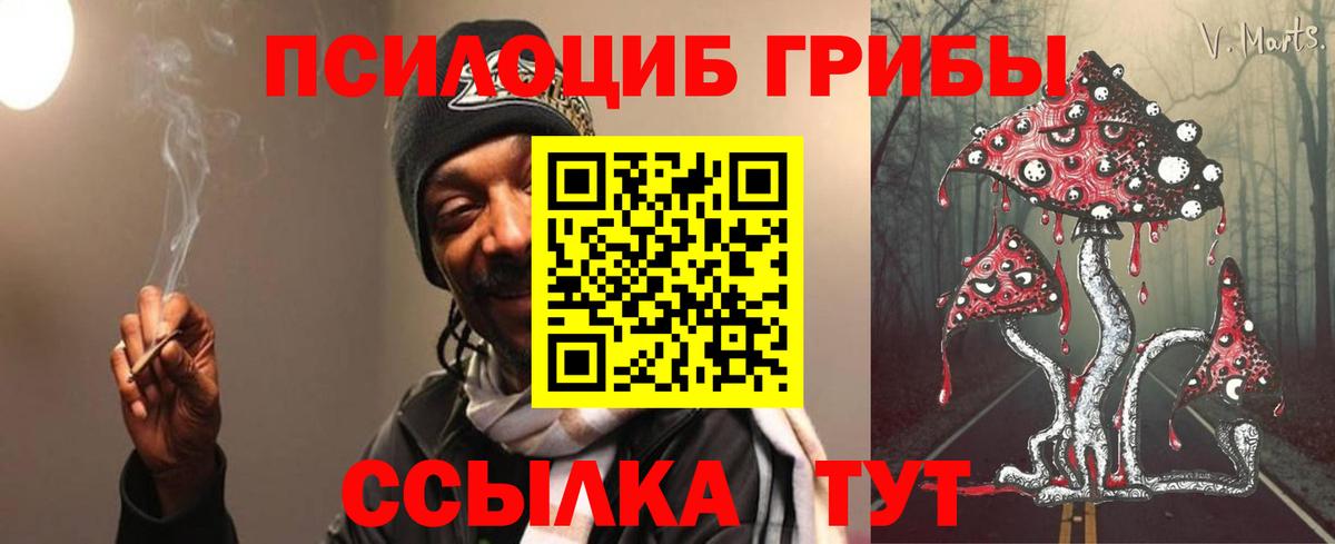 Галлюциногенные грибы Magic Shrooms  Вход с VPN  Полысаево  Галлюциногенные грибы Cubensis 